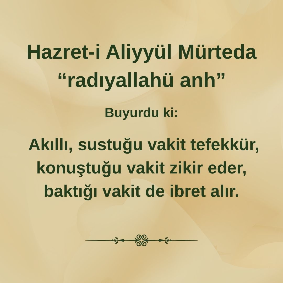 Aliyyül Mürteda (72)